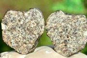 Meteorite complete stone cut in 2 and polished 6.07 grams