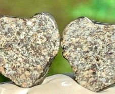 Meteorite complete stone cut in 2 and polished