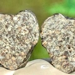 Meteorite complete stone cut in 2 and polished