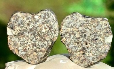 Meteorite complete stone cut in 2 and polished