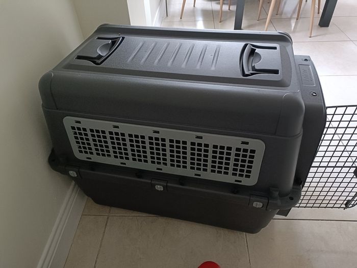 Large dog Transport Box