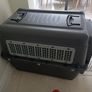 Large dog Transport Box Image 4