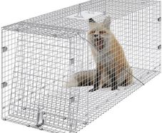 Live Animal Cage Trap, 50" x 20" x 26" Humane Cat Trap Galvanized Iron, Folding Animal Trap with Handle for Stray Dogs, Armadillos, Raccoons, Marmots, Foxes