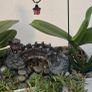 indoor Image 4