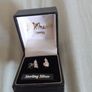 Sterling Silver Earrings Image 2