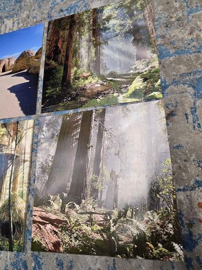 Star wars printed display back drops