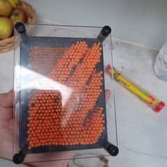 Toy
