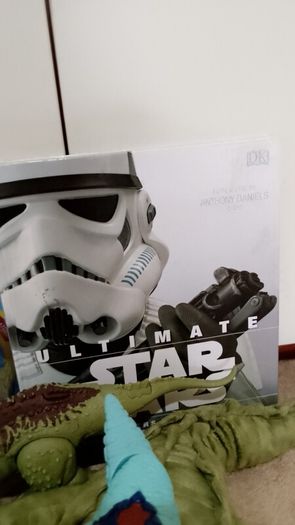Large Toy Bundle