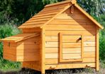 Coop House Chicken Coop, Large
