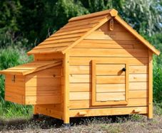 Coop House Chicken Coop, Large