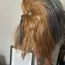 Star Wars - Chewbacca Mask Image 2