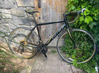 carrera