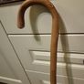 Walking stick Image 5
