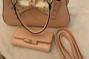 handbag and purse