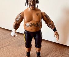Wwe figure