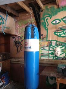 hayashi punch bag, wall mount and 14oz gloves