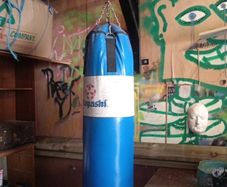 hayashi punch bag, wall mount and 14oz gloves