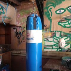 hayashi punch bag, wall mount and 14oz gloves