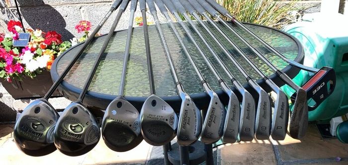 Callaway/Tour Edge Golf Clubs & Powakaddy Bag