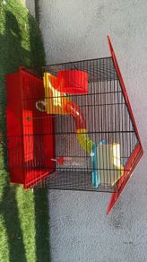 hamster cage
