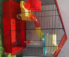 hamster cage