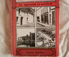 The Irish Town by Patrick Shaffrey