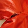 Beautiful fitted Red Karen Millen Dress Image 6