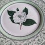 Lovely Hangingv Plate By Royalharticulturalsociety. Image 2