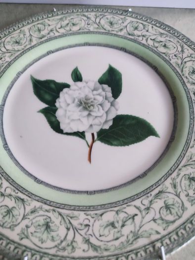 Lovely Hangingv Plate By Royalharticulturalsociety.