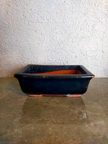 Small Bonsai Pot #2