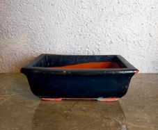Small Bonsai Pot #2