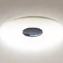 Clearance: Horizon Ceiling Light Image 3