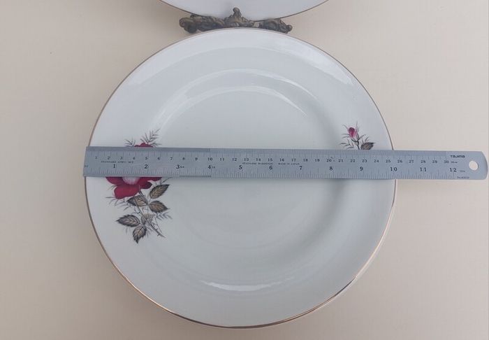 Beautiful Set of Six Large Dinner Plates by Arklow Pottery in the Very Popular and Collectable "Autumn Rose" Pattern