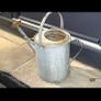 old zinc watering can Image 2