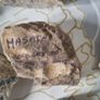 Rocks from the Holy Land Image 4