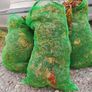 Seaweed Fertilizer + Seaweed liquid fertilizer. Image 2
