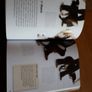 Book: Tricks and games to teach your dog Image 4