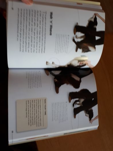 Book: Tricks and games to teach your dog