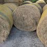 Organic Hay Image 4