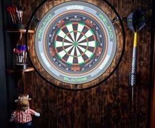 Winmau Plasma 360 Dartboard Light