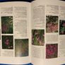 The Essential Flower Gardening Encyclopedia Image 7