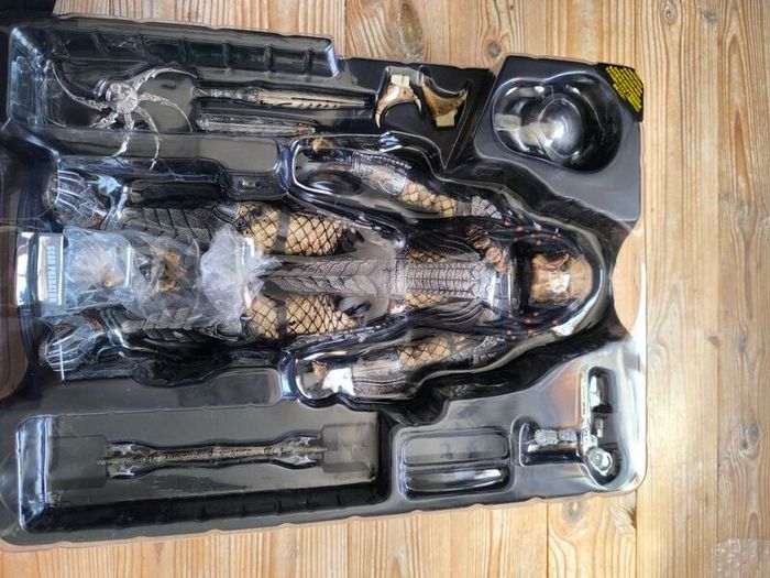 AVP - Predator Scar 2.0 - Hot Toys