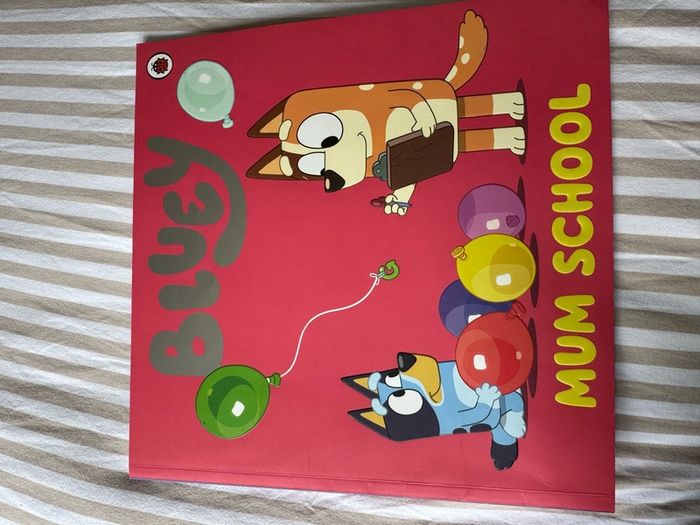 Bluey kids book bundle