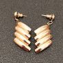 Earrings Image 2