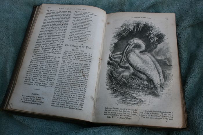 The Christian Miscellany and Family Visitor for the Year 1862