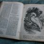 The Christian Miscellany and Family Visitor for the Year 1862 Image 8