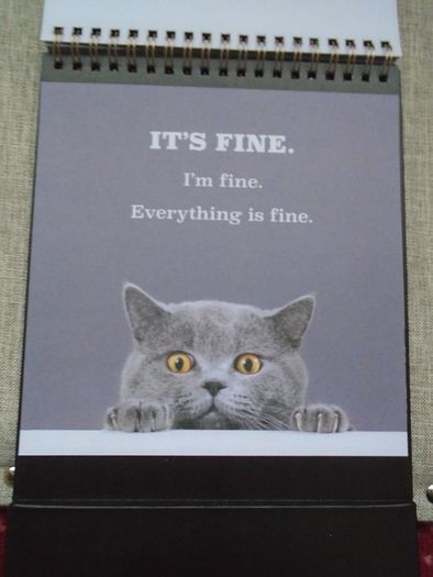 Cat themed flip book, Gift. Book.Mother's Day gift