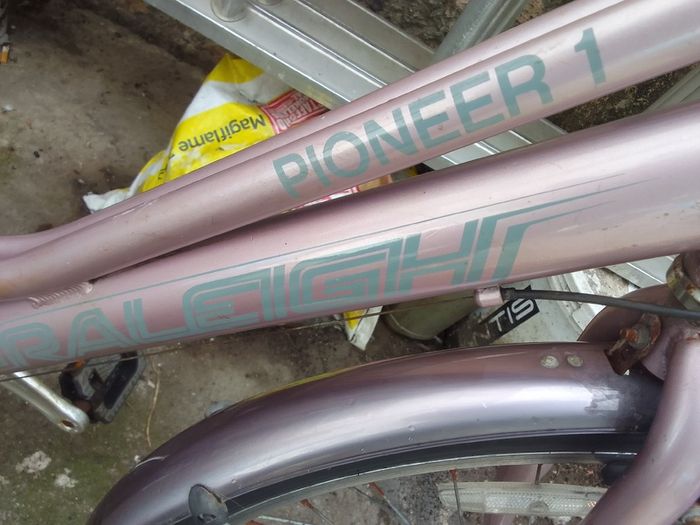 lady   bike for sale