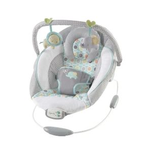 Baby Bouncer