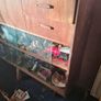 Mid Century Glazed Cabinet Image 5